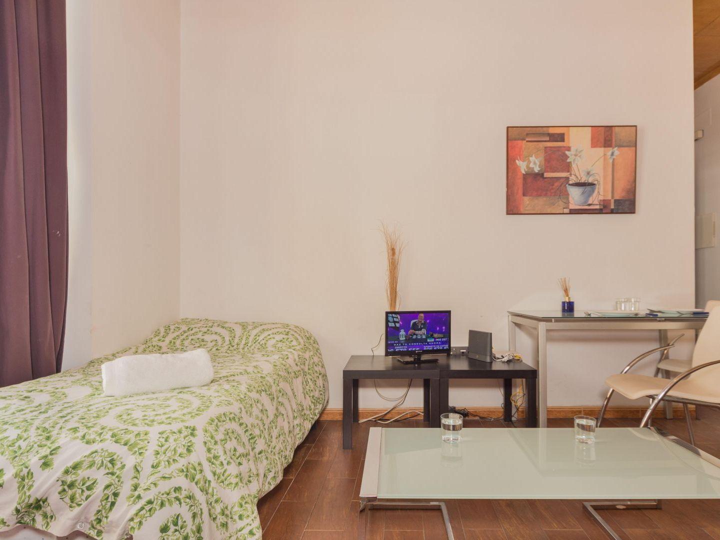 Apartment Carreteria Loft Málaga